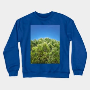 green pine and blue sky Crewneck Sweatshirt